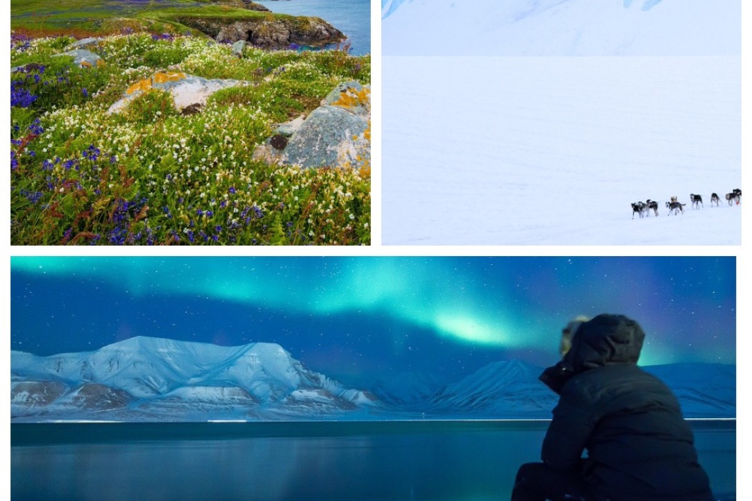 Иллюстрация к новости: В Вышке открывается Лаборатория социогуманитарных исследований Севера и Арктики